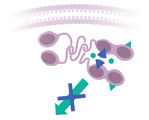 Illustration showing inhibition of RET-driven tumor growth